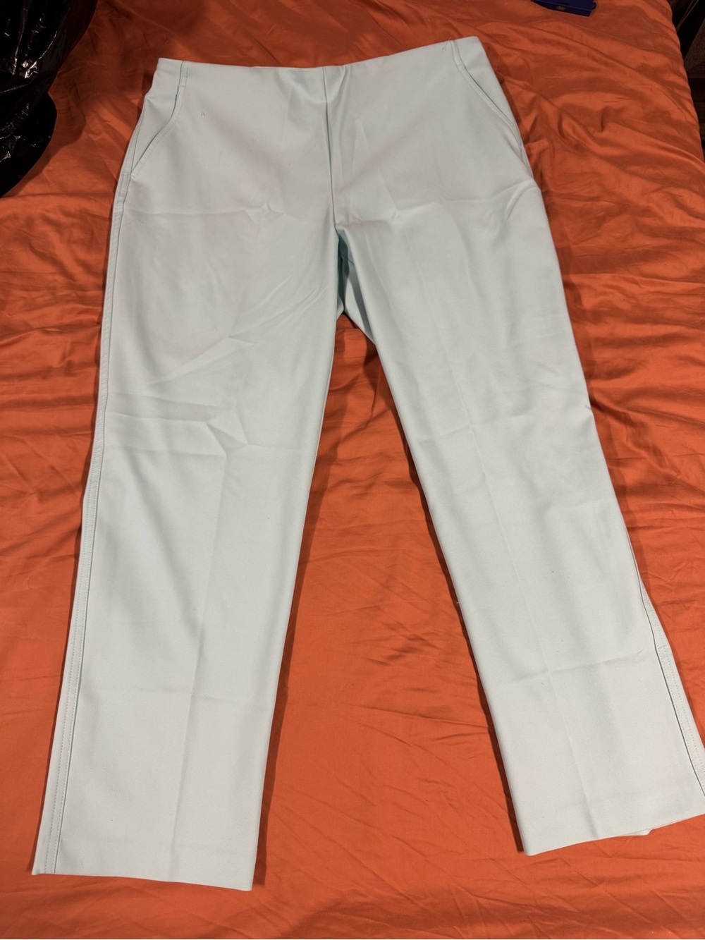 Rachel Zoe Light Blue Straight-Leg Women's Pants